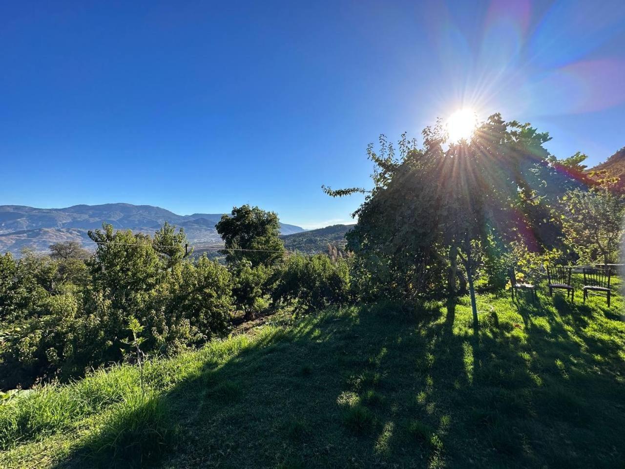Dar La Ziza Bed & Breakfast Bab Tazza Dış mekan fotoğraf