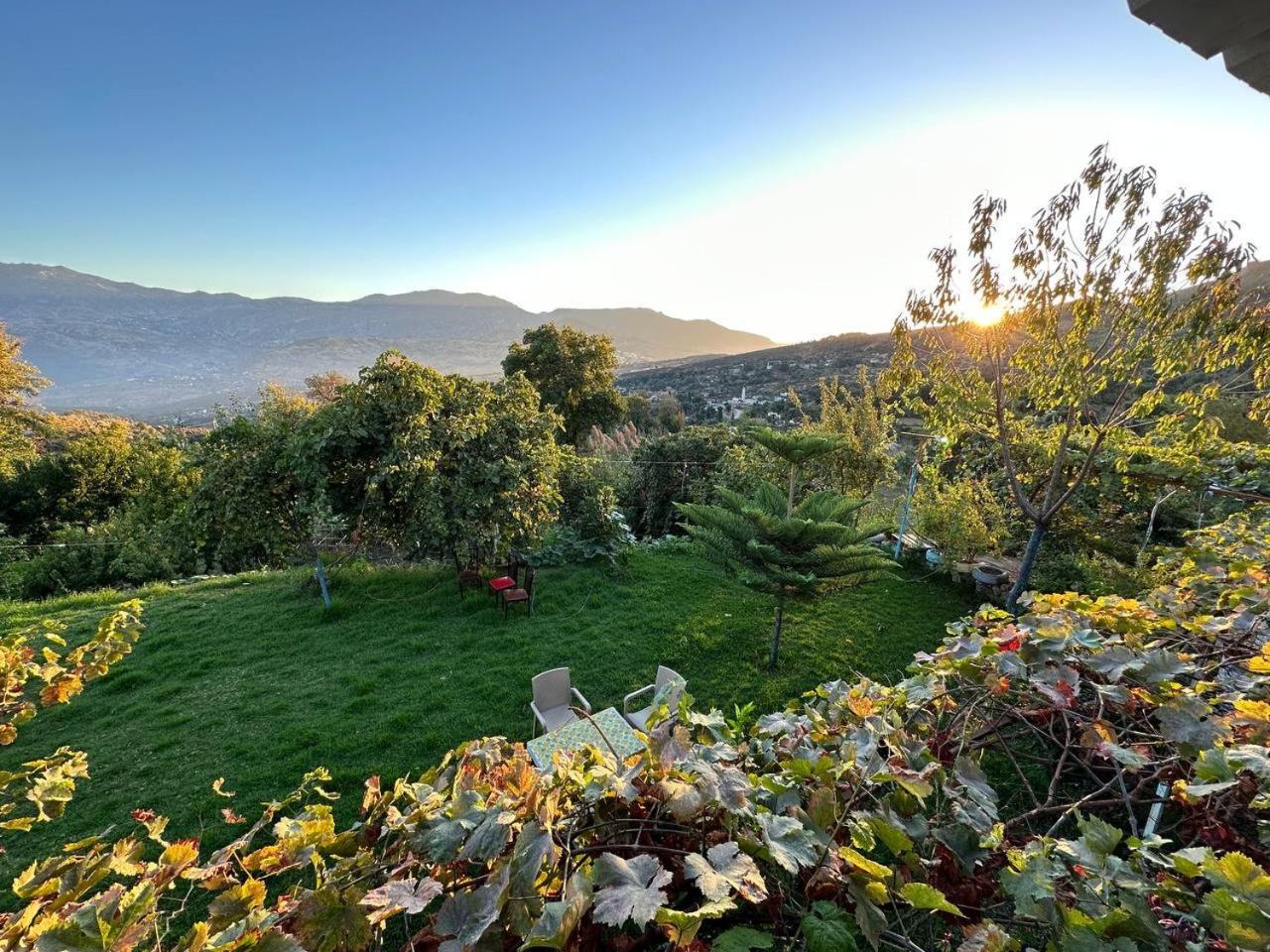 Dar La Ziza Bed & Breakfast Bab Tazza Dış mekan fotoğraf